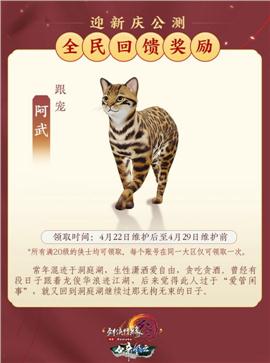 天龙八部私服攻城卡